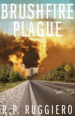 R. Ruggiero Brushfire Plague обложка книги