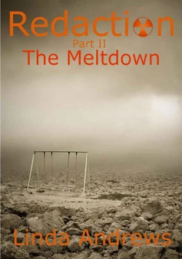 Linda Andrews The Meltdown обложка книги