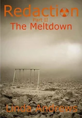Linda Andrews - The Meltdown