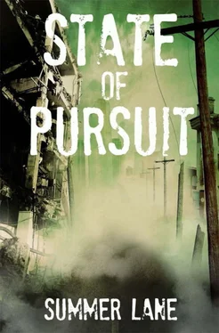 Summer Lane State of Pursuit обложка книги