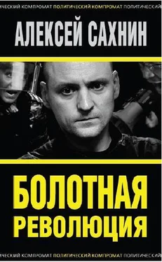 Алексей Сахнин Болотная революция обложка книги