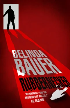 Belinda Bauer Rubbernecker обложка книги