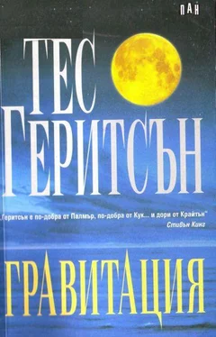 Тес Геритсън Гравитация обложка книги