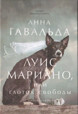 Анна Гавальда Луис Мариано, или Глоток свободы обложка книги