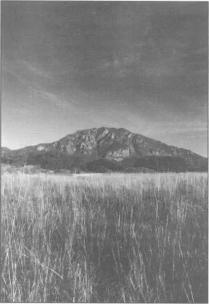 introduction CHEYENNE MOUNTAIN SITS on the eastern slope of Colorados Front - фото 1