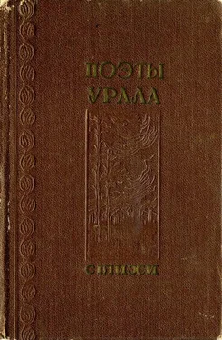 Яков Вохменцев Поэты Урала обложка книги