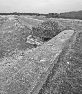 Beach defenses along the Atlantic Wall frequently included antitank walls to - фото 30