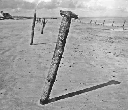 One of the more common types of obstacles deployed in 1944 was a simple post - фото 32