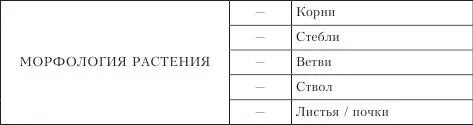 Вторую группу образуют признаки видов растений цветы злаки плоды деревья - фото 9