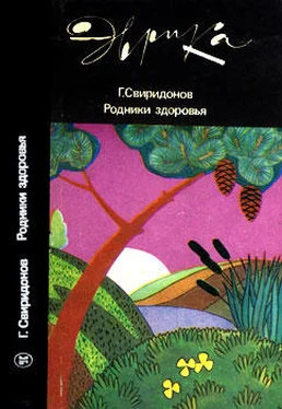 Генадий Свиридонов Родники здоровья обложка книги