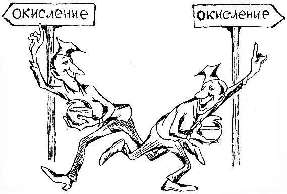 Факт или артефакт Я выделил митохондрии из голубиных мышц и поколдовав с - фото 8