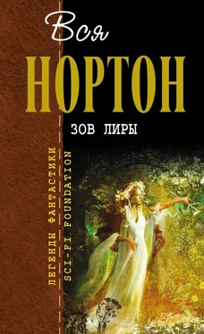 Андрэ Нортон Зов Лиры. Зеркало судьбы обложка книги