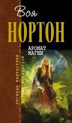 Андрэ Нортон - Аромат магии. Ветер в камне