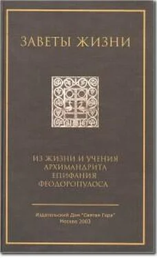 Епифаний Феодоропулос Заветы жизни. Из жизни и учения архимандрита Епифания Феодоропулоса обложка книги