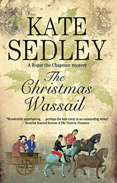 Kate Sedley The Christmas Wassail обложка книги