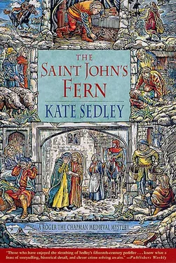 Kate Sedley The Saint John's fern обложка книги