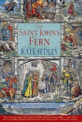 Kate Sedley - The Saint John's fern