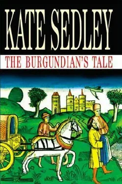 Kate Sedley The Burgundian's tale обложка книги