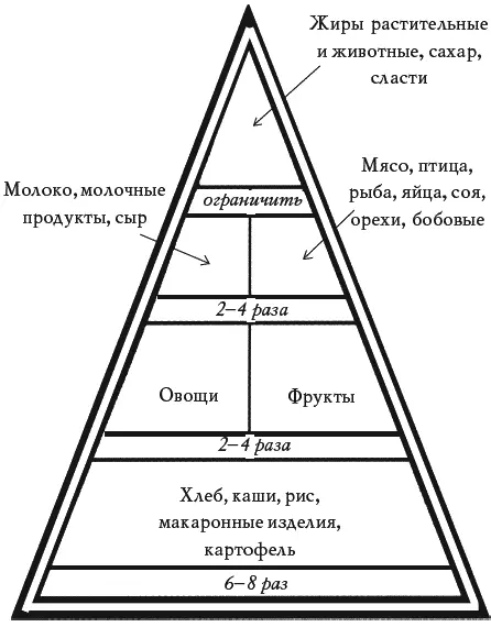 Пирамида питания Какими критериями необходимо руководствоваться при выборе - фото 145