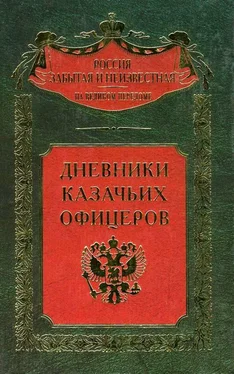 Михаил Фостиков Дневники казачьих офицеров обложка книги