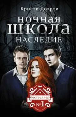 Кристи Доэрти Наследие обложка книги