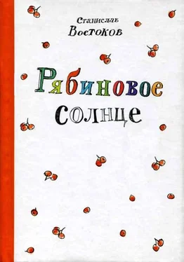 Станислав Востоков Рябиновое солнце обложка книги