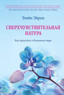 Элейн Эйрон Сверхчувствительная натура. Как преуспеть в безумном мире обложка книги