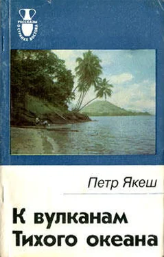 Петр Якеш К вулканам Тихого океана обложка книги