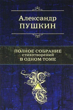 Александр Пушкин Полное собрание стихотворений в одном томе обложка книги