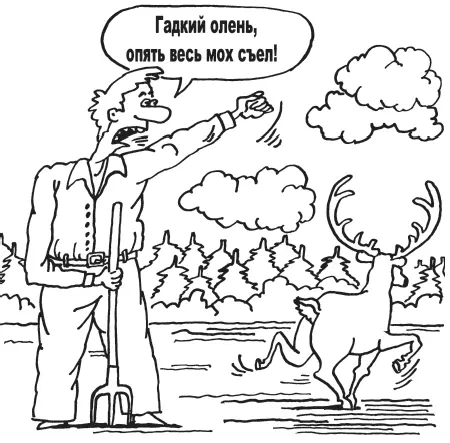 Так что на кору надейся а сам не плошай и используй то что есть под рукой - фото 13