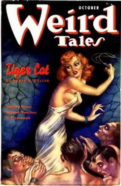 David Keller Tiger Cat обложка книги