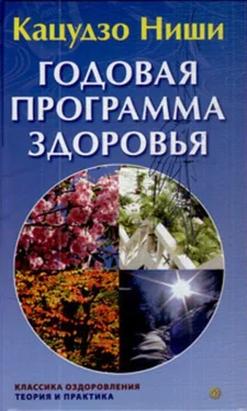 Кацудзо Ниши Годовая программа здоровья обложка книги