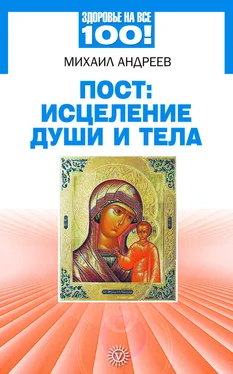 Михаил Андреев Пост: исцеление души и тела обложка книги