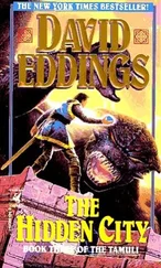 David Eddings - The Hidden City