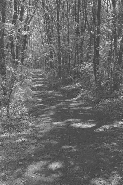 ROAD IN OIWAKE When he came out of this reverie he saw that the womans - фото 8
