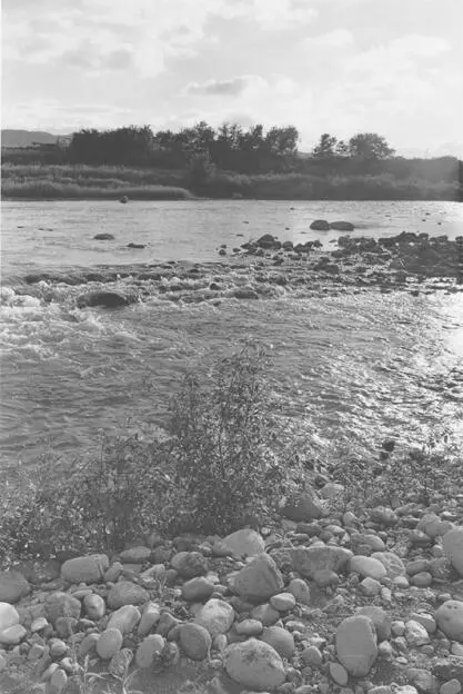 CHIKUMA RIVER These are my memories but they just dont seem like mine The - фото 16