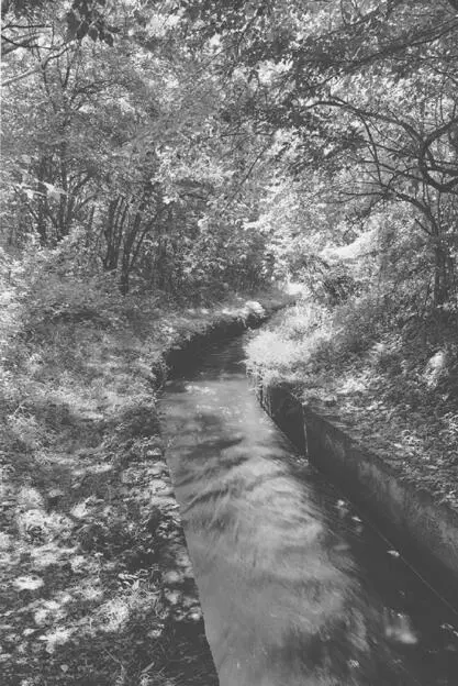CANAL IN OIWAKE I dont know how aware Natsue may have been that Taro was in - фото 23