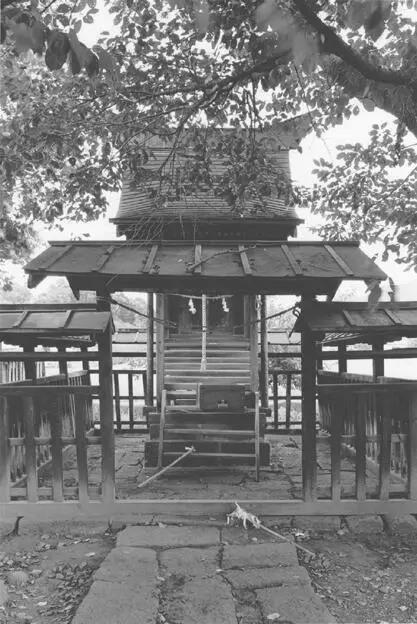 SMALL SHINTO SHRINE I know shes too good for us but if someone as ladylike - фото 25