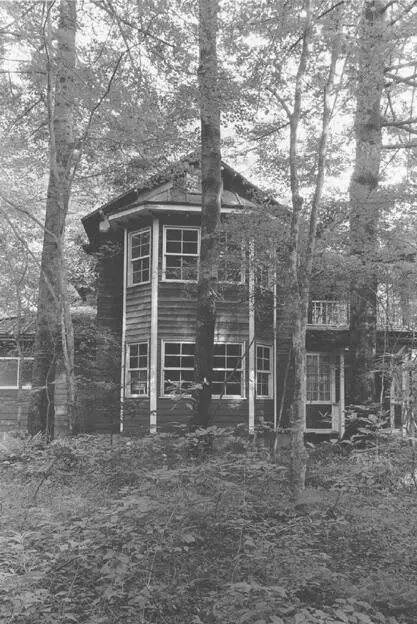 WESTERNSTYLE SUMMER VILLA WITH BAY WINDOWS On a day like this the famous - фото 29