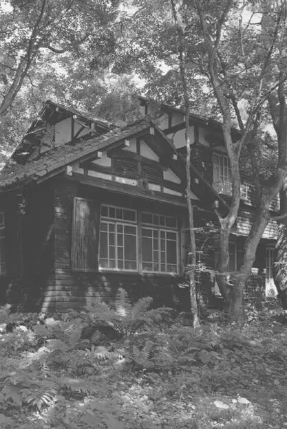 WESTERNSTYLE SUMMER VILLA WITH TIMBER FRAME The average age of those present - фото 30
