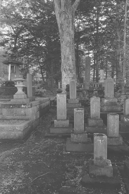 CEMETERY As soon as this occurred to me I sat right down and wrote a letter to - фото 34