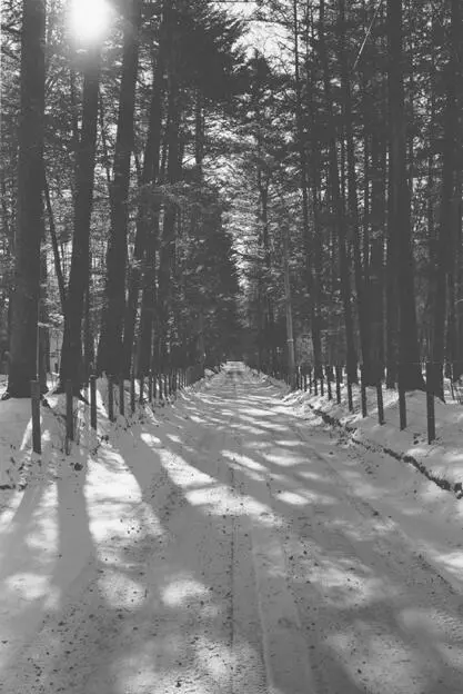 SNOWY ROAD IN OLD KARUIZAWA Midway up the first flight of stairs I could - фото 35