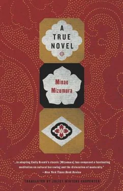 Minae Mizumura A True Novel обложка книги