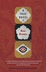 Minae Mizumura - A True Novel