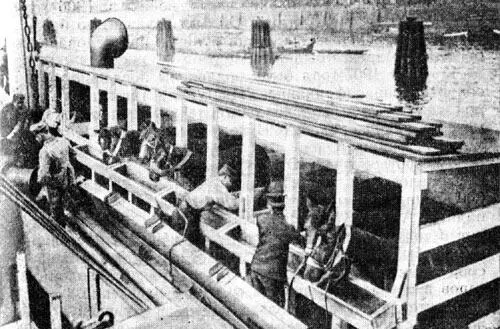 Перевозка лошадей в ЮгоЗападную Африку Палач гереро Трота в ноябре 1904 года - фото 14