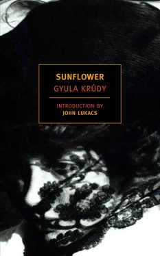 Gyula Krudy Sunflower обложка книги