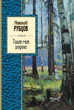 Николай Рубцов Тихая моя родина (сборник) обложка книги