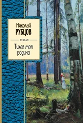 Николай Рубцов - Тихая моя родина (сборник)