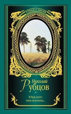 Николай Рубцов Я буду долго гнать велосипед… (сборник) обложка книги