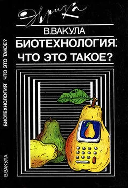 Владимир Вакула Биотехнология: что это такое? обложка книги